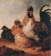CUYP, Aelbert Rooster and Hens dfg painting